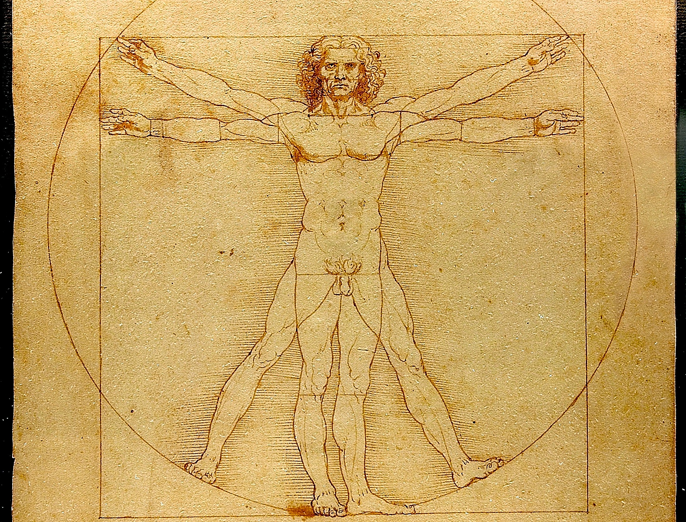 Leonardo da Vinci, Vitruvian Man